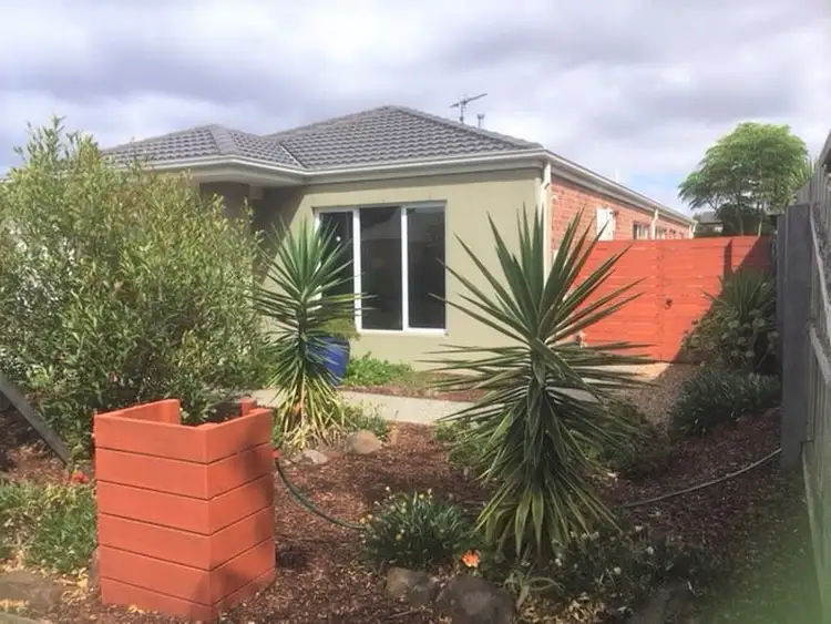 Fourth view of Homely house listing, 29 Wattlehill Grove, St Leonards VIC 3223