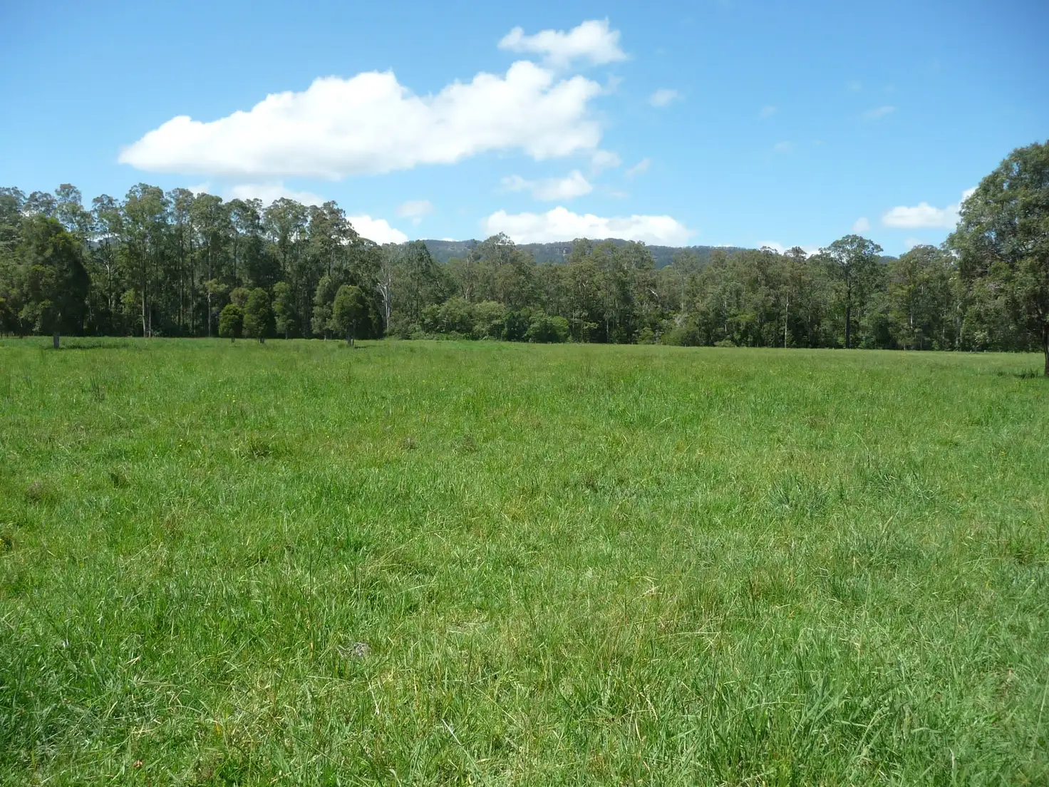 Main view of Homely rural property listing, 489 Central Lansdowne Road, Lansdowne NSW 2430