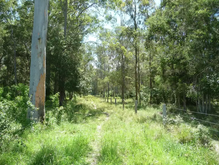 Fourth view of Homely rural property listing, 489 Central Lansdowne Road, Lansdowne NSW 2430
