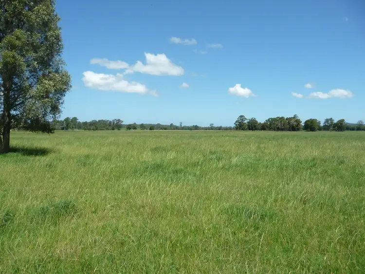 Fifth view of Homely rural property listing, 489 Central Lansdowne Road, Lansdowne NSW 2430
