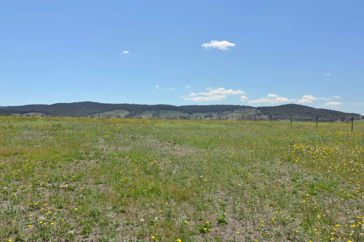 Main view of Homely rural property listing, Lot 7 Back Cullen Road, Portland NSW 2847