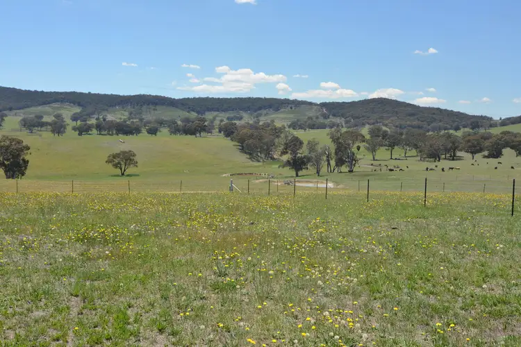 Third view of Homely rural property listing, Lot 7 Back Cullen Road, Portland NSW 2847
