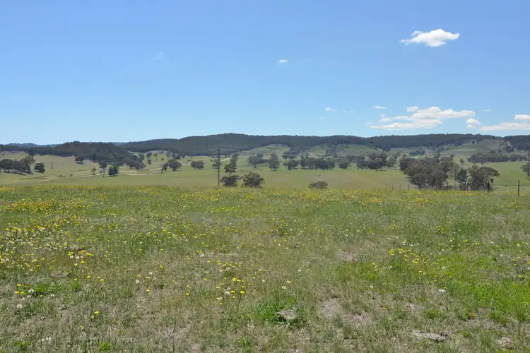 Fourth view of Homely rural property listing, Lot 7 Back Cullen Road, Portland NSW 2847