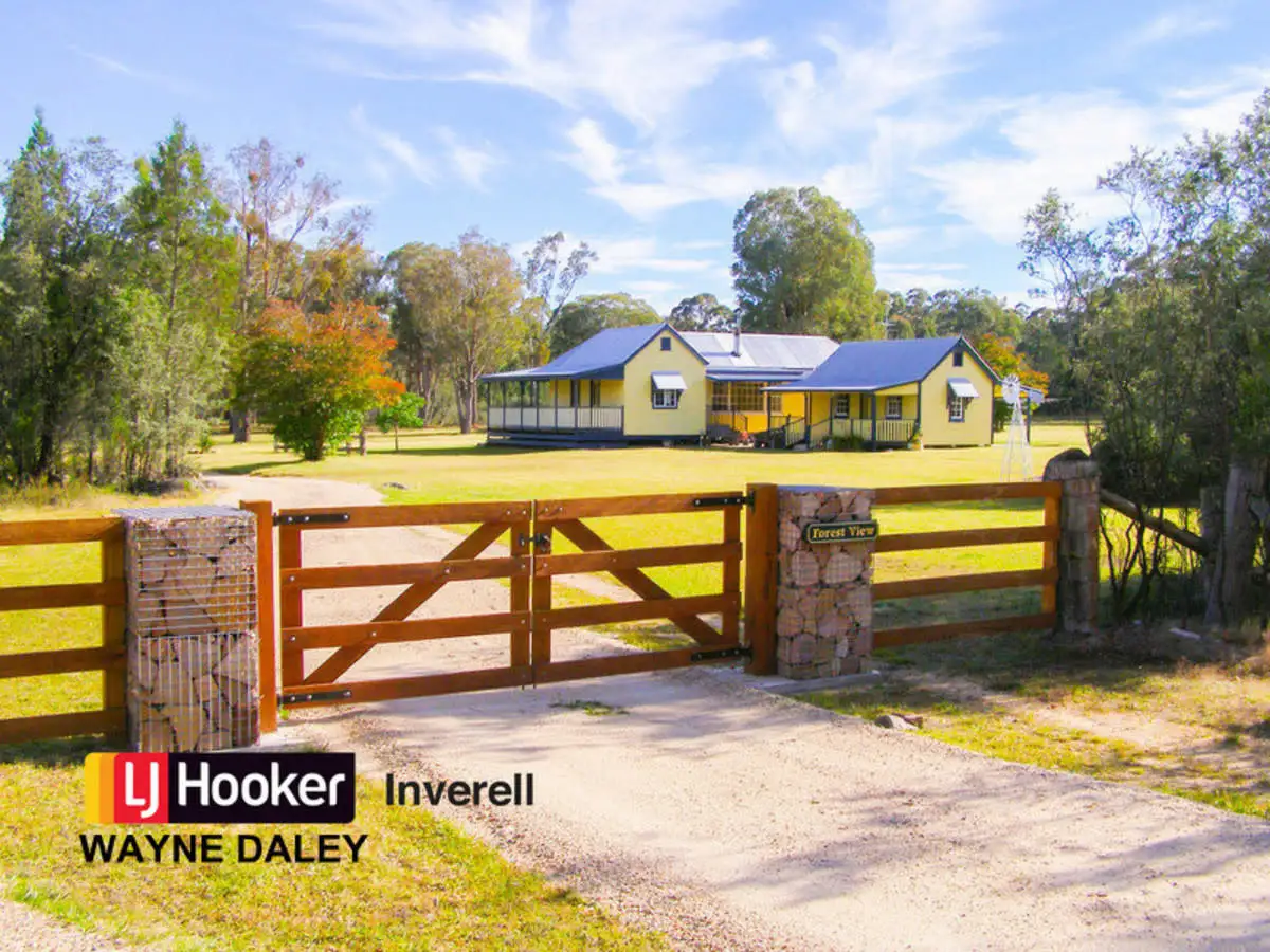 Main view of Homely rural property listing, 445 Old Stannifer Road, Inverell NSW 2360