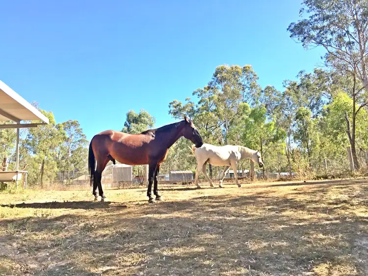 Third view of Homely rural property listing, 5 Challenge Avenue, Kensington Grove QLD 4341
