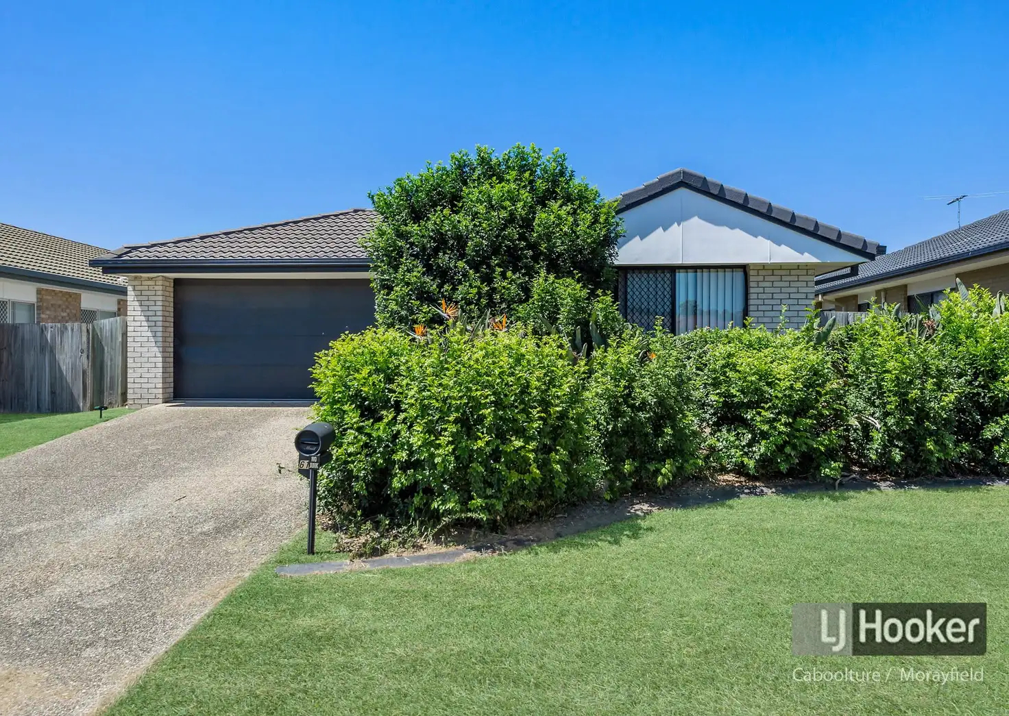 Main view of Homely house listing, 61 Summerhill Drive, Morayfield QLD 4506