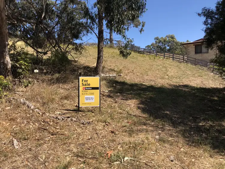Third view of Homely land listing, 12 Kismet Place, St Helens TAS 7216