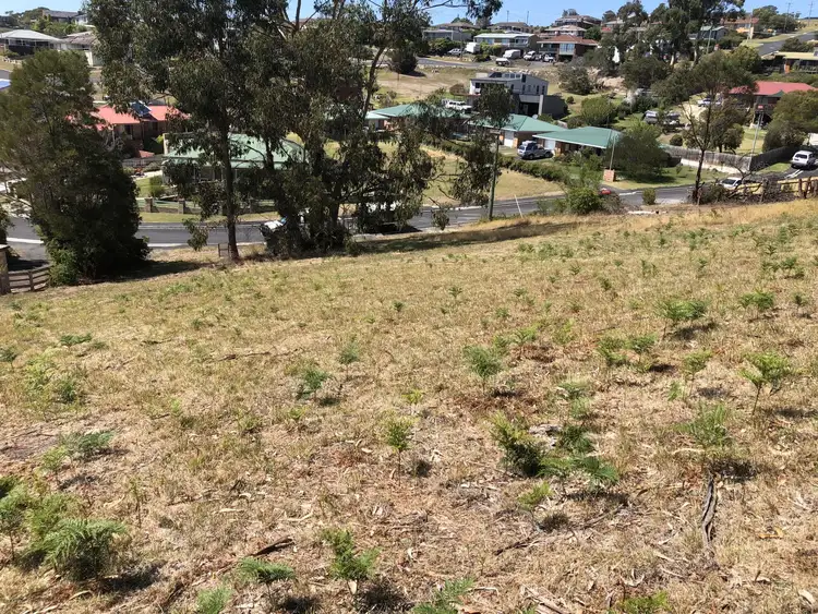 Fourth view of Homely land listing, 12 Kismet Place, St Helens TAS 7216