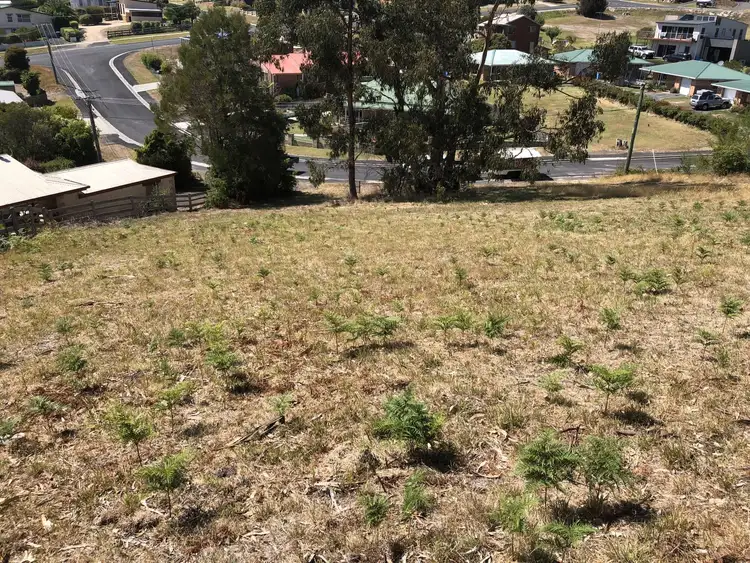 Fifth view of Homely land listing, 12 Kismet Place, St Helens TAS 7216