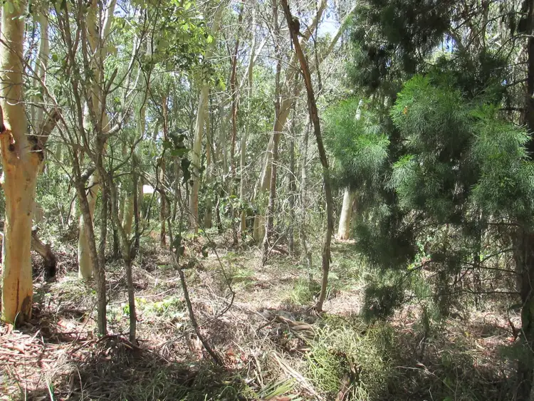 12 Parakeet Street, Macleay Island QLD 4184