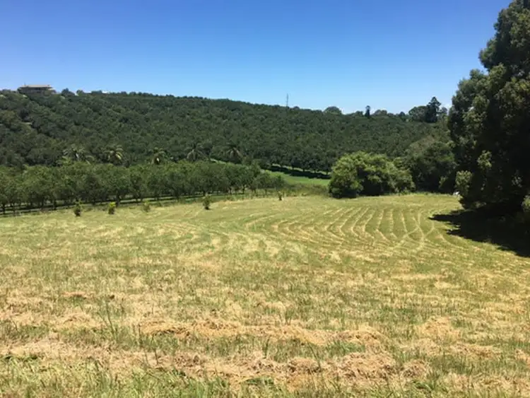 Main view of Homely rural property listing, 87 Willis Road, Tregeagle NSW 2480