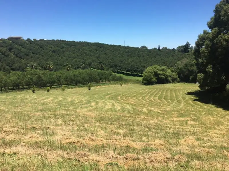 Main view of Homely rural property listing, 87 Willis Road, Tregeagle NSW 2480