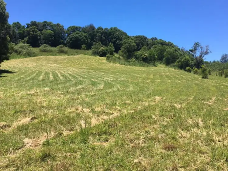 Second view of Homely rural property listing, 87 Willis Road, Tregeagle NSW 2480