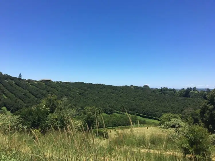 Third view of Homely rural property listing, 87 Willis Road, Tregeagle NSW 2480