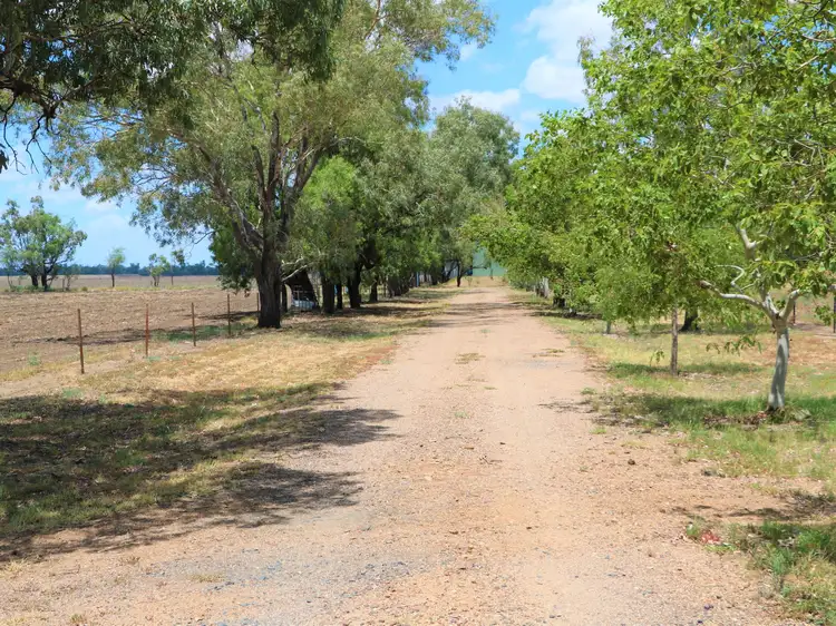 Third view of Homely house listing, 93 Tranquility Road, Moree NSW 2400