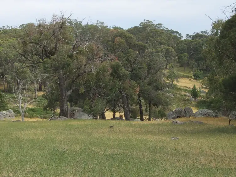 Sixth view of Homely land listing, 385 Ennis Road, Tallarook VIC 3659