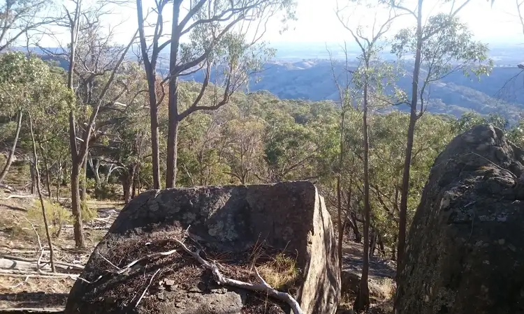 Seventh view of Homely land listing, 385 Ennis Road, Tallarook VIC 3659