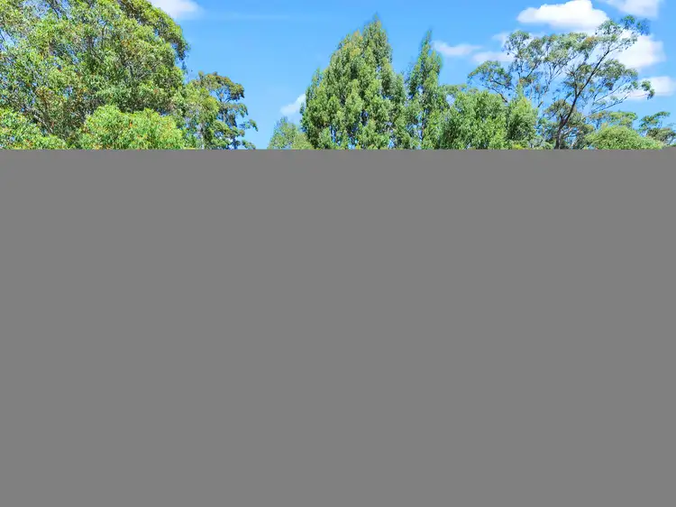 170 Bradys Lake Road, Bradys Lake TAS 7140
