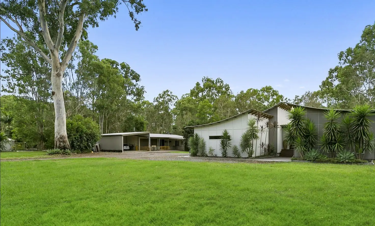 Main view of Homely house listing, 289 Arcoona Road, Yandina Creek QLD 4561