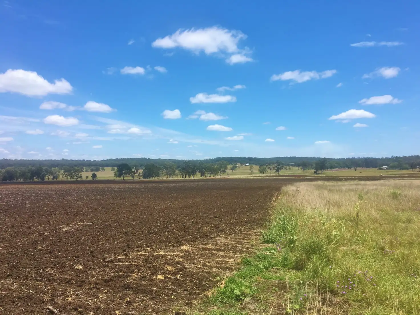 Main view of Homely rural property listing, Lots 16-17 MP Creek Road, Wondai QLD 4606