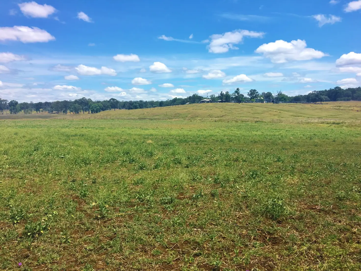 Main view of Homely rural property listing, 429 MP Creek Road, Wondai QLD 4606