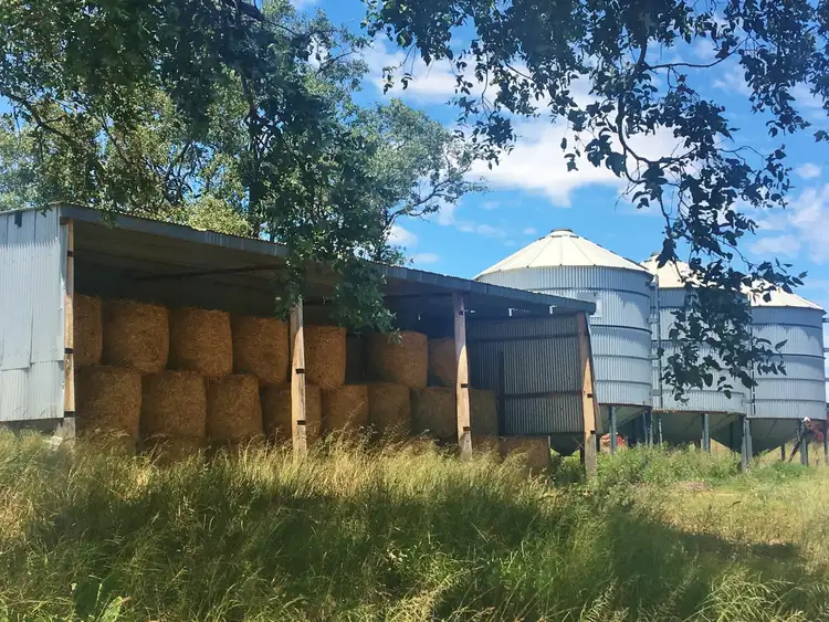 Third view of Homely rural property listing, 429 MP Creek Road, Wondai QLD 4606