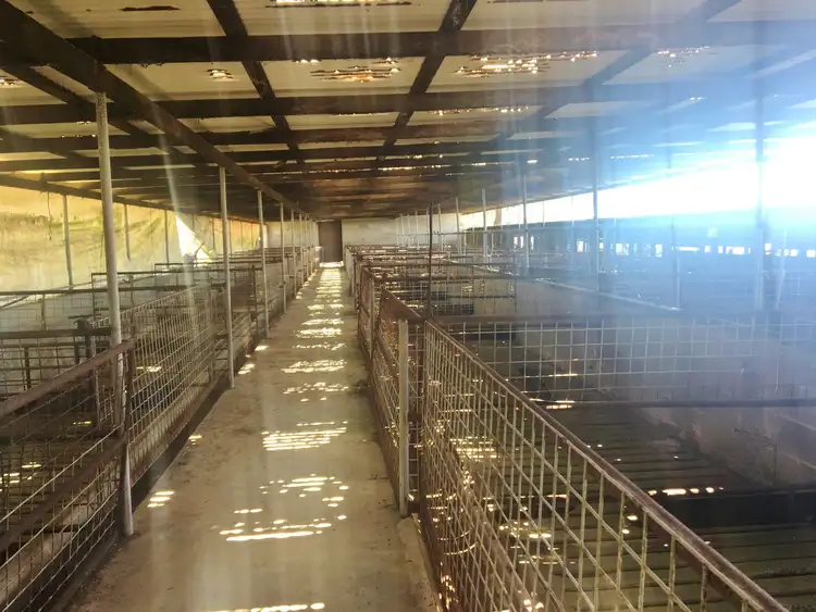 Fourth view of Homely rural property listing, 429 MP Creek Road, Wondai QLD 4606