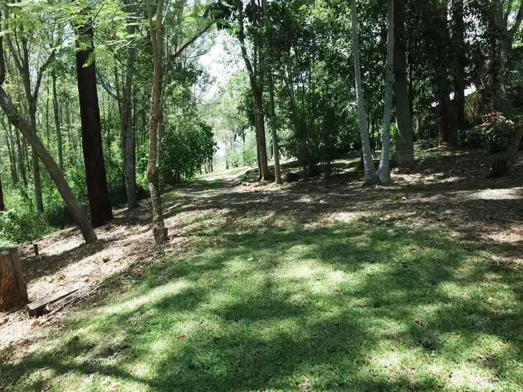 Sixth view of Homely rural property listing, 786 Tinonee Road, Tinonee NSW 2430