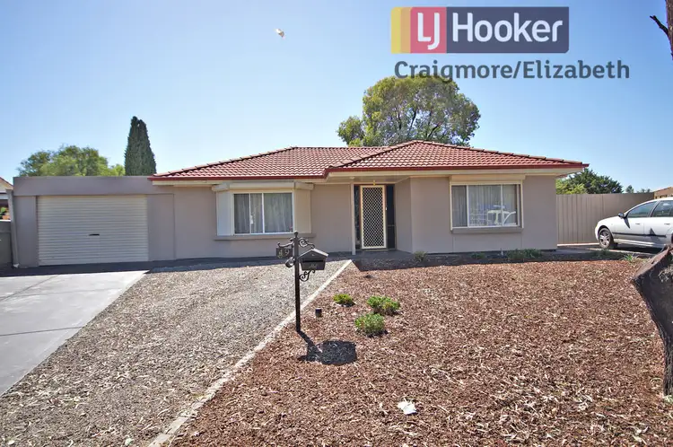 49 President Avenue, Andrews Farm SA 5114