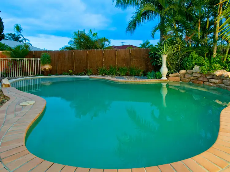 Main view of Homely house listing, 10 Booyong Court, Ormeau QLD 4208