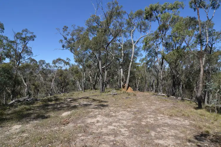Fifth view of Homely rural property listing, Lot 11 Sandalls Drive, Rydal NSW 2790