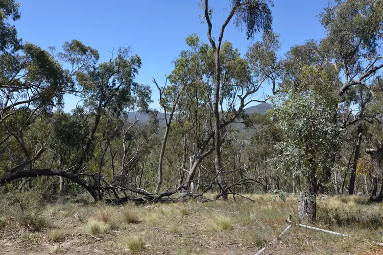 Sixth view of Homely rural property listing, Lot 11 Sandalls Drive, Rydal NSW 2790