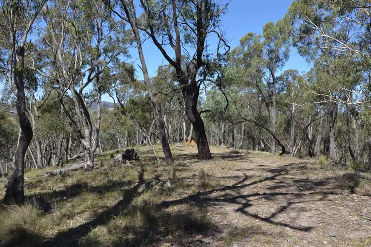 Seventh view of Homely rural property listing, Lot 11 Sandalls Drive, Rydal NSW 2790