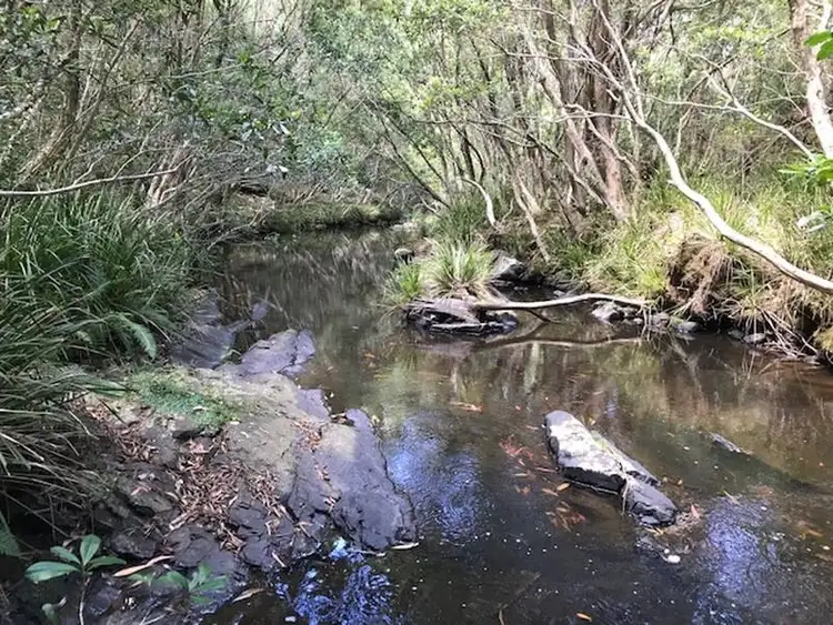 Second view of Homely rural property listing, Address available on request