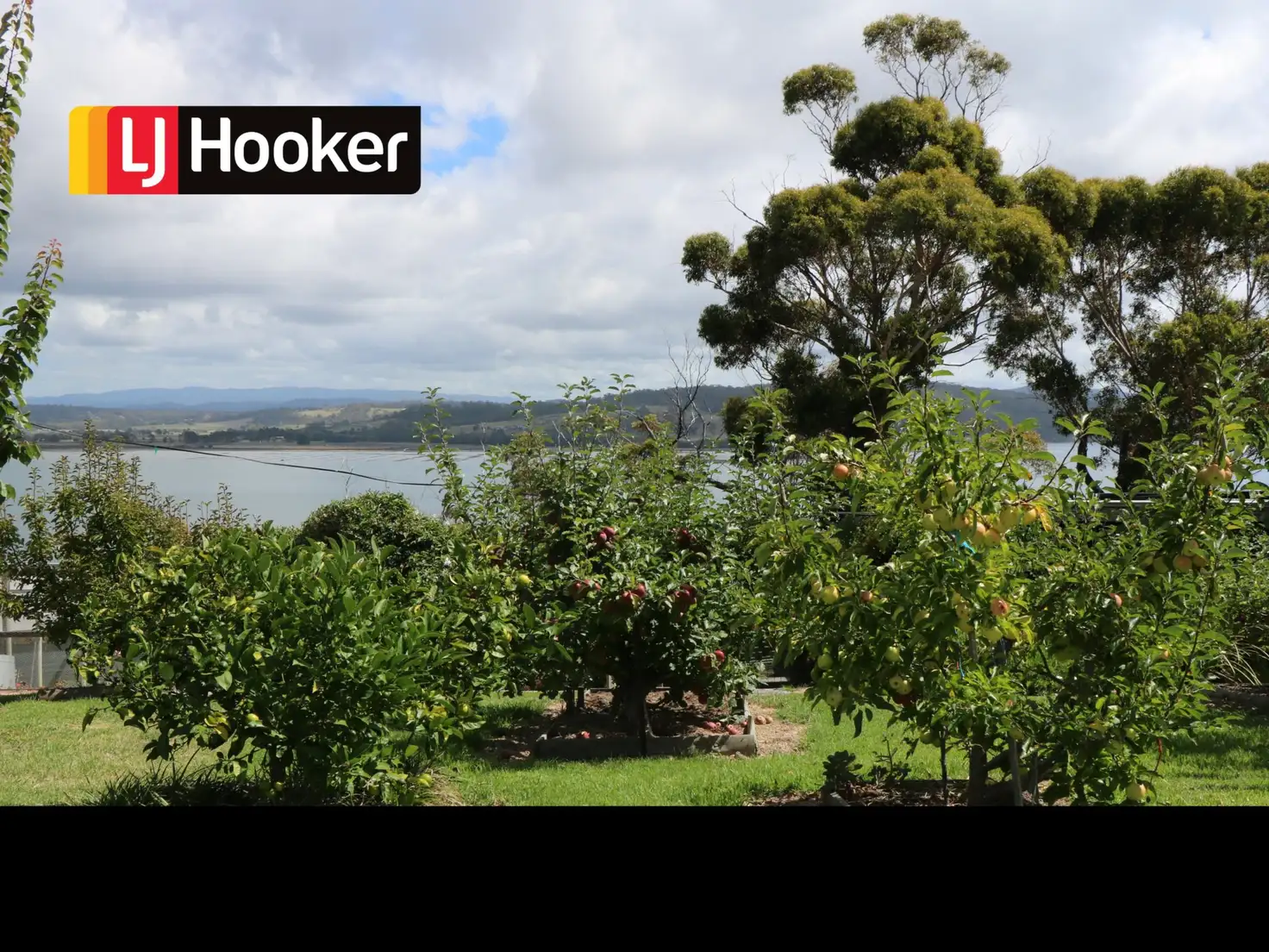 Main view of Homely land listing, 137 St Helens Point Road, Stieglitz TAS 7216