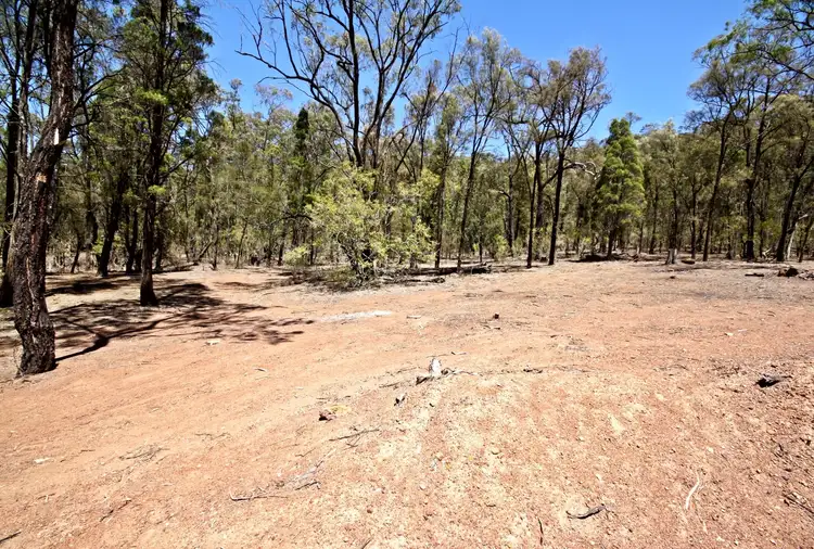 Seventh view of Homely rural property listing, 421 Golden Highway, Denman NSW 2328