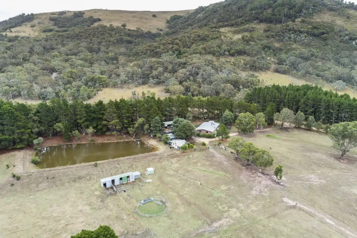 Main view of Homely rural property listing, 407 Williamsdale Road, Burra NSW 2620