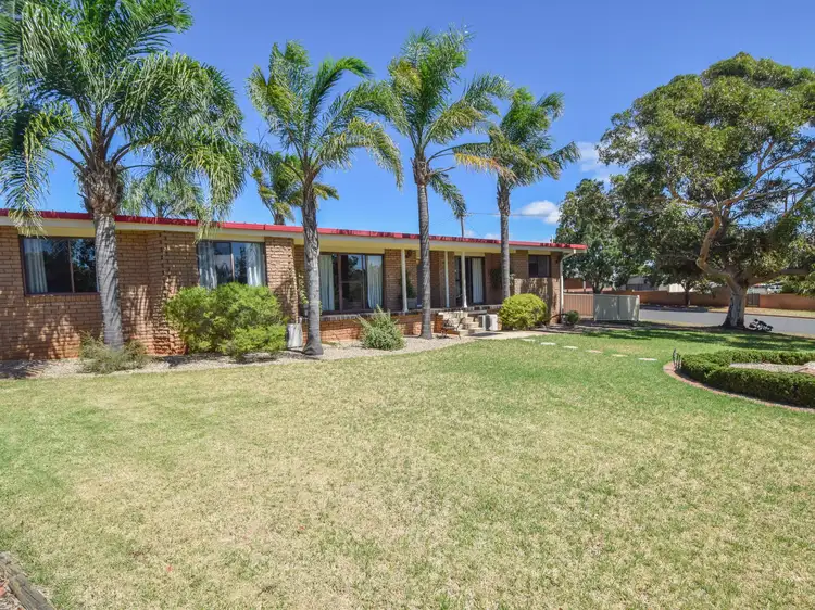 Main view of Homely house listing, 6 Jasprizza Avenue, Young NSW 2594