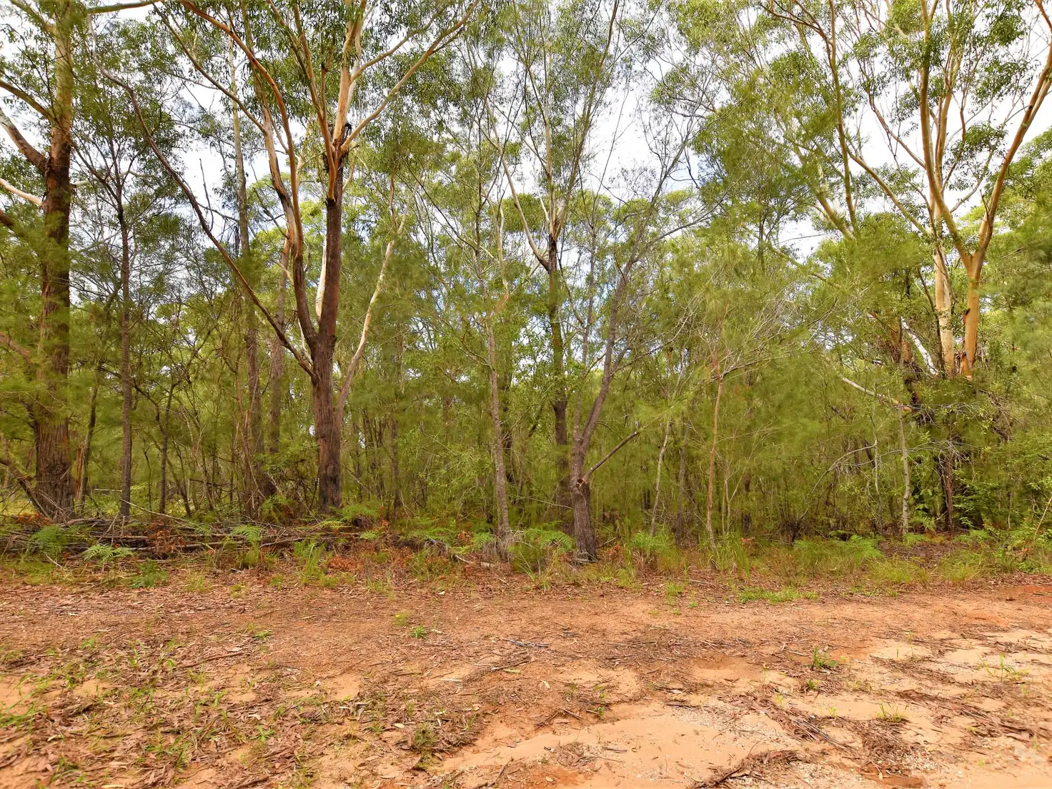 Main view of Homely land listing, 17 Castlewood Cres, Russell Island QLD 4184