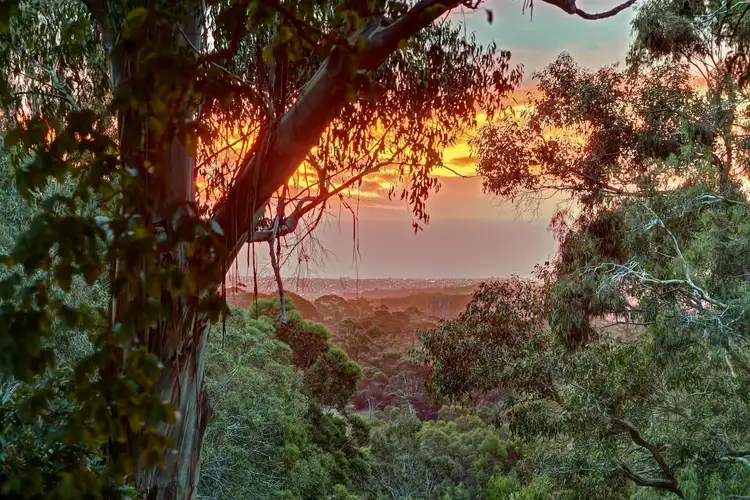 Fifth view of Homely house listing, 9 Hillcrest Avenue, Crafers West SA 5152