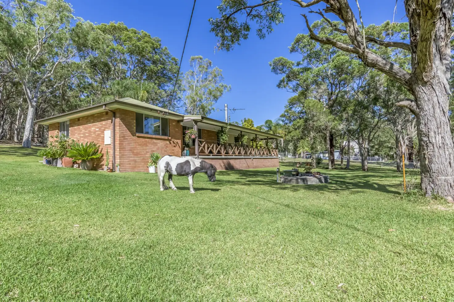 Main view of Homely rural property listing, 5 Cams Wharf Road, Cams Wharf NSW 2281