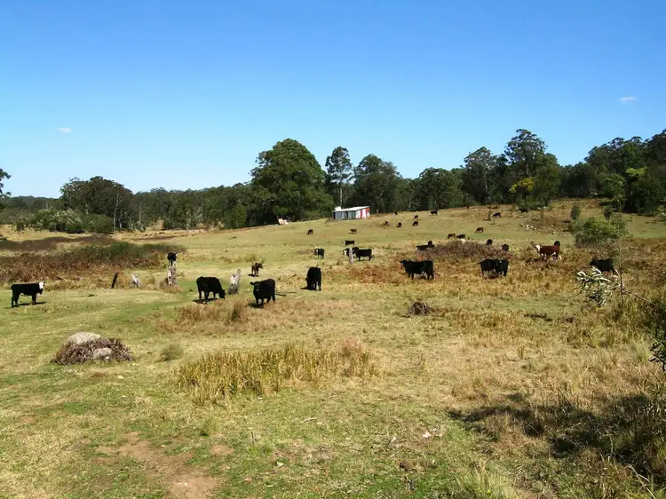 1732-1792 Cochrane Firetrail, Carrai NSW 2440