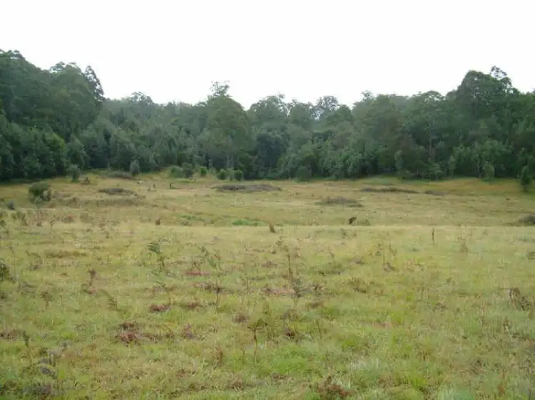 Second view of Homely rural property listing, 1732-1792 Cochrane Firetrail, Carrai NSW 2440
