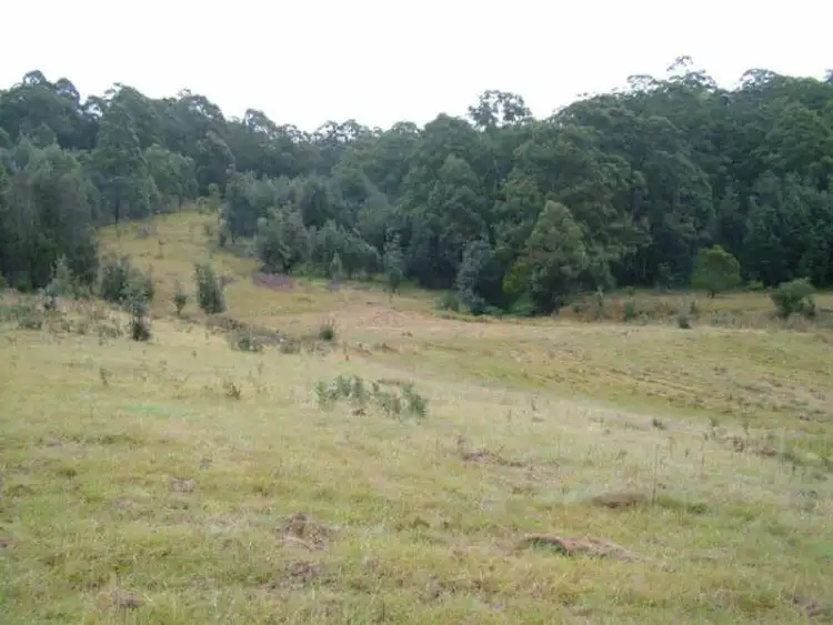 Third view of Homely rural property listing, 1732-1792 Cochrane Firetrail, Carrai NSW 2440