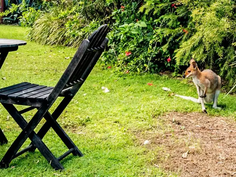 Fifth view of Homely unit listing, 121/138 Hansford Road, Coombabah QLD 4216