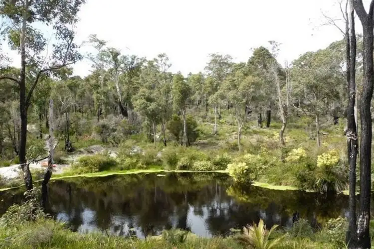 Fourth view of Homely rural property listing, 7002 Windy Harbour Road (Meerup), Northcliffe WA 6262