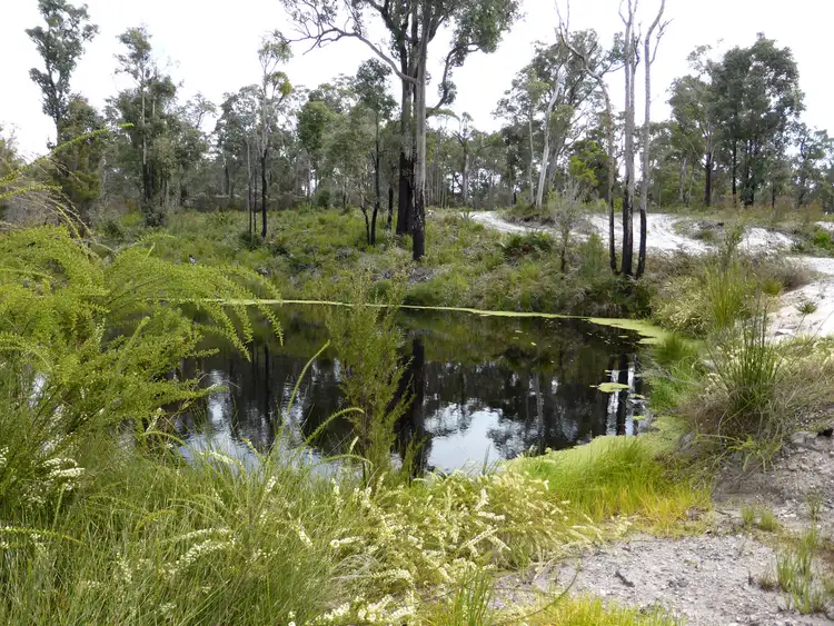 Fifth view of Homely rural property listing, 7002 Windy Harbour Road (Meerup), Northcliffe WA 6262