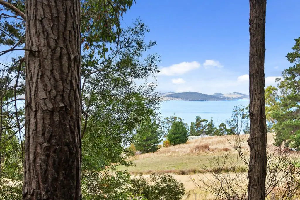 Main view of Homely land listing, Channel Highway, Flowerpot TAS 7163