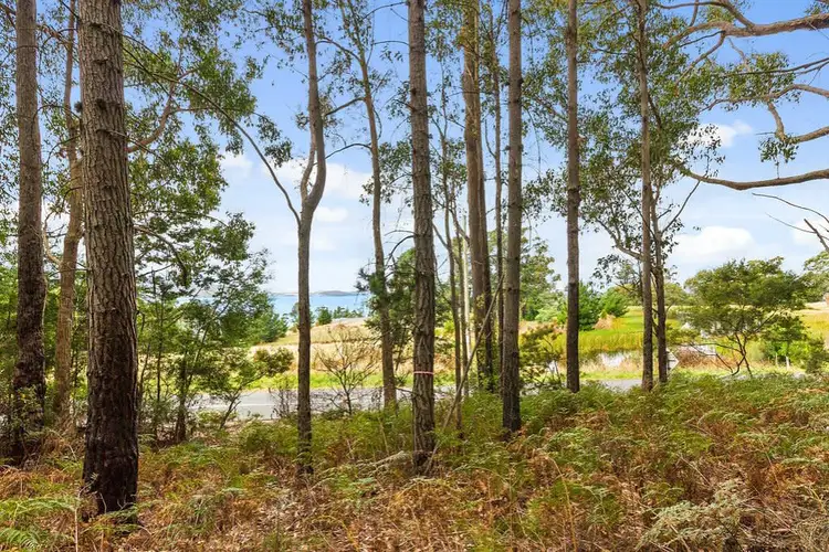Second view of Homely land listing, Channel Highway, Flowerpot TAS 7163