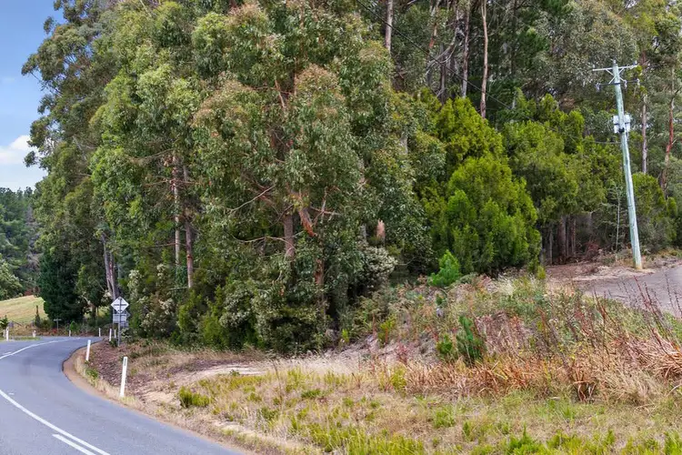 Fourth view of Homely land listing, Channel Highway, Flowerpot TAS 7163